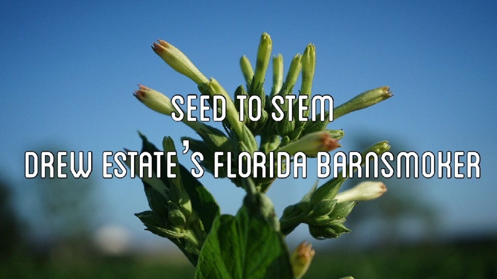 Seed to Stem